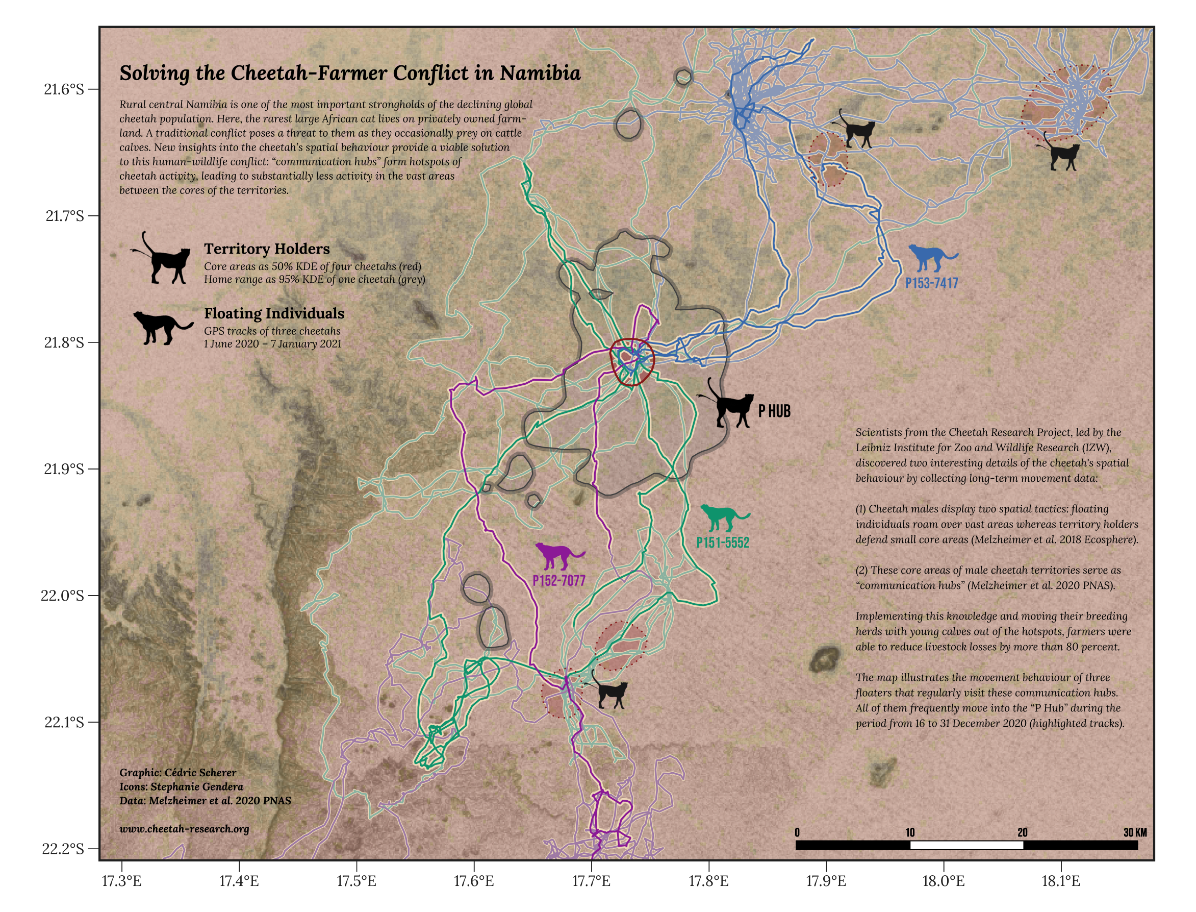 A spatial map of cheetah movement and their hotspot behaviour in Namibia.