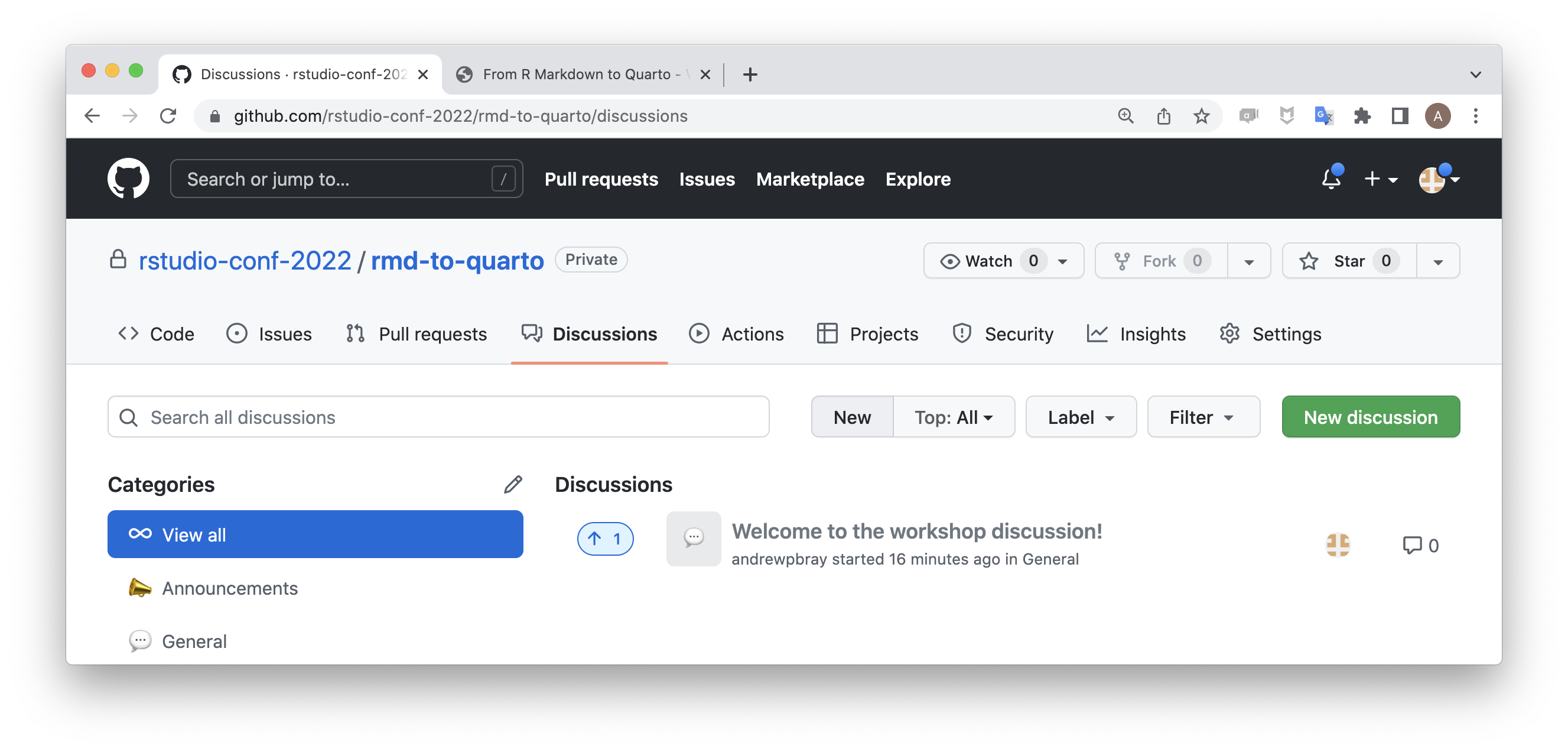 Screenshot of the github discussion page that serves as the forum for the workshop.